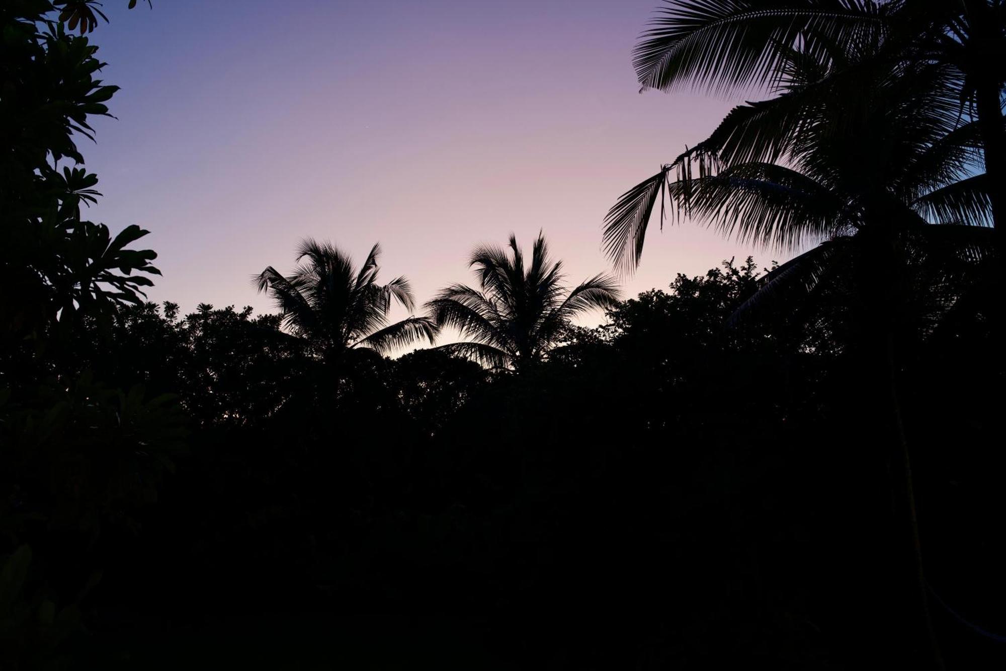 Ginganga Lodge Galle Bagian luar foto