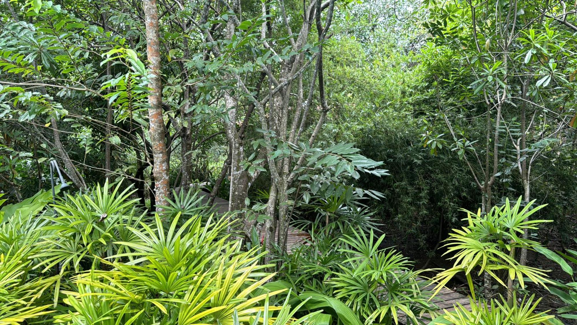 Ginganga Lodge Galle Bagian luar foto