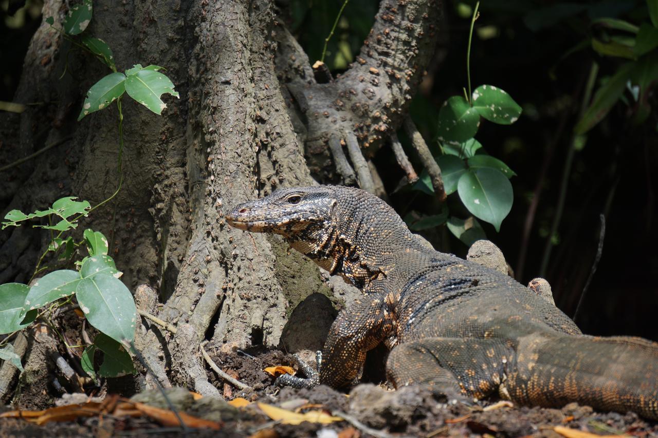 Ginganga Lodge Galle Bagian luar foto